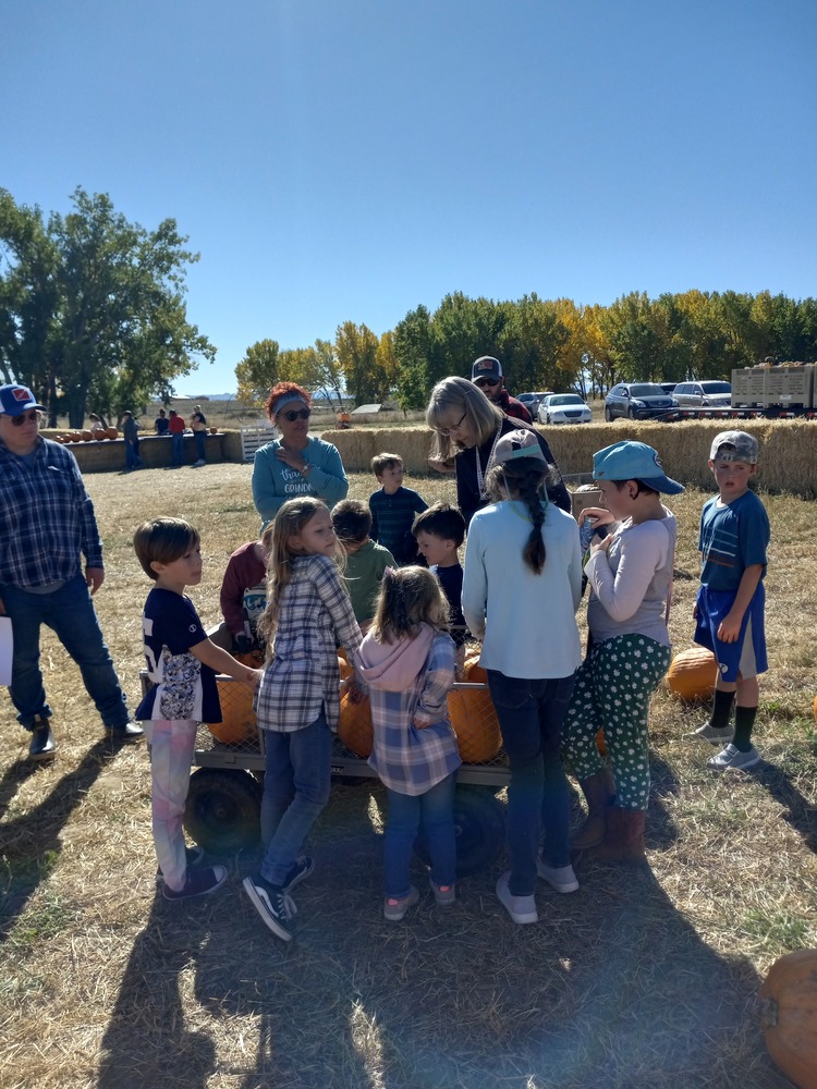 Gallagher's Corn Maze