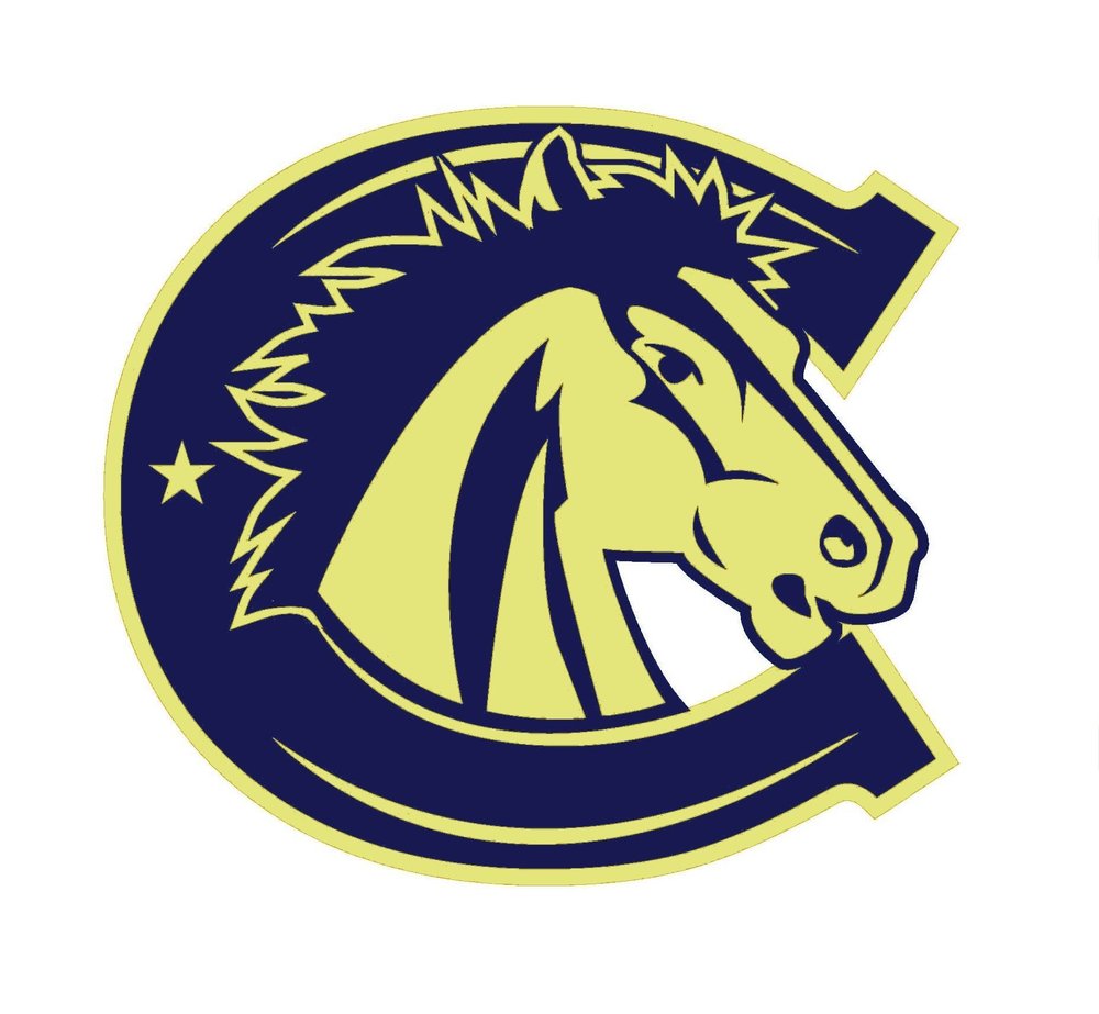 Bronc Logo 