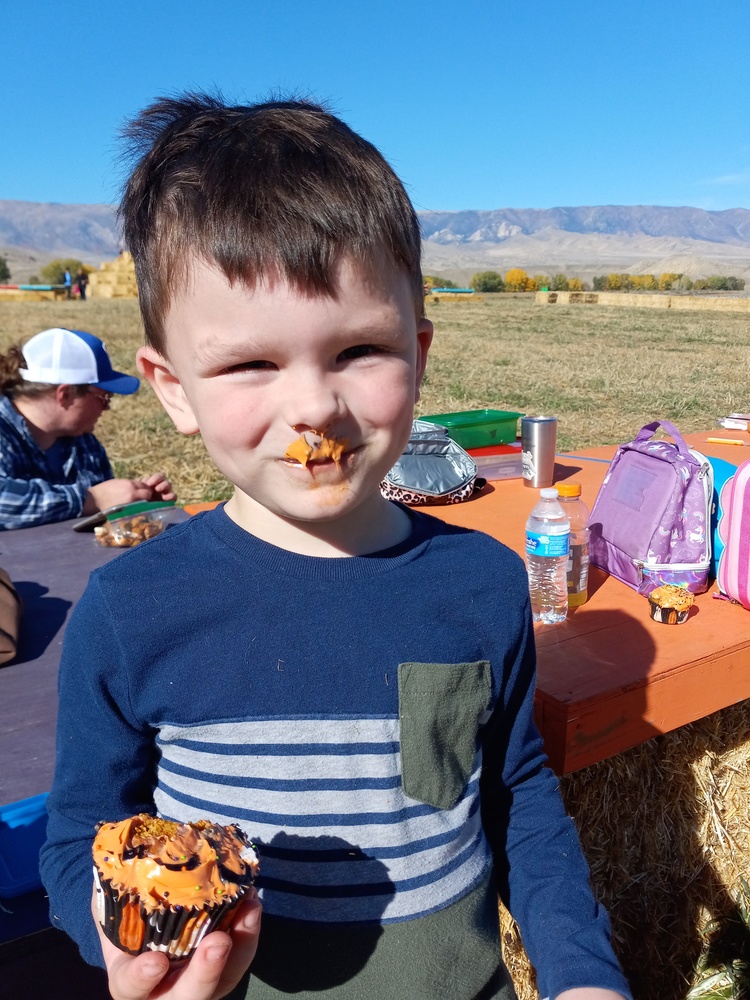 Gallagher's Corn Maze