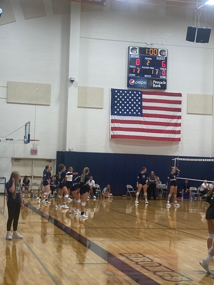 Go Fillies